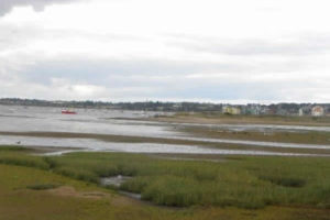 Dawlish Warren Local Nature Reserve