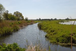 Water flowing through fields