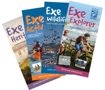 Photo of Exe Estuary leaflets