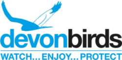 Devon birds logo