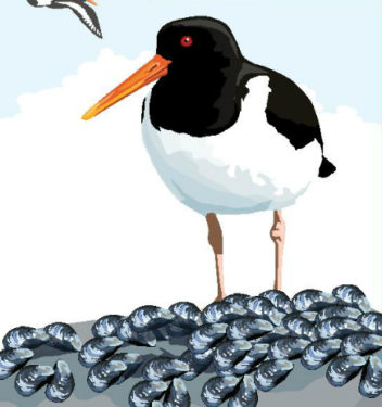 picture of a bird on a bed of mussels