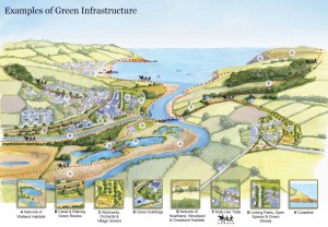 Examples of Green Infrastructure