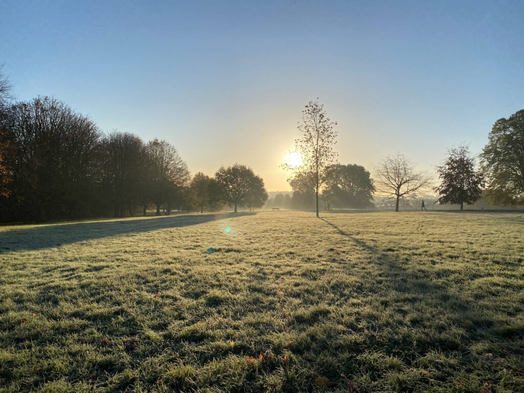 At the foreground of the photo is frosty mown grass that goes towards a variety of broadleaf trees clumping along a path with a bench. The early morning sun peaks through the branches, silhouetting the trees. It is clear blue sky beyond.