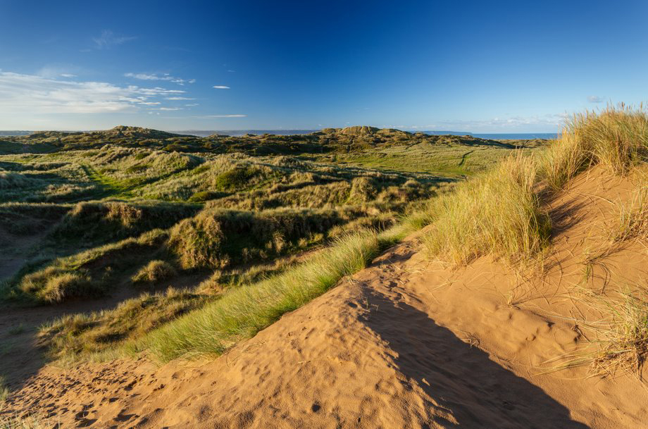 Braunton Burrows, Neville Stanikk
