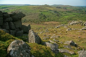 Dartmoor 2